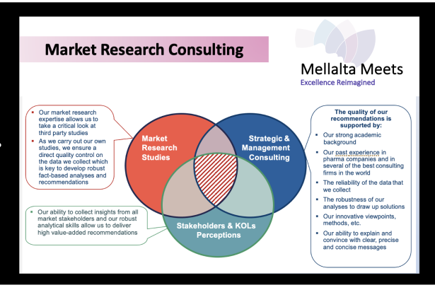Mellalta Consulting Services