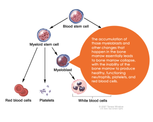 AML definition: Mellalta Meets