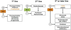 Mellalta Meets Current Treatment Strategies in Gastric Cancer