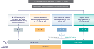 Mellalta Meets–HER-Low in Breast Cancer