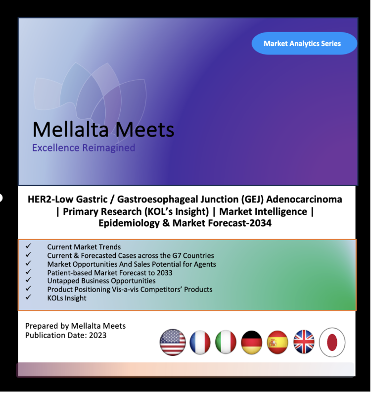 HER2-Low Gastric / Gastroesophageal Junction (GEJ) Adenocarcinoma | Primary Research (KOL’s Insight) | Market Intelligence | Epidemiology & Market Forecast-2034