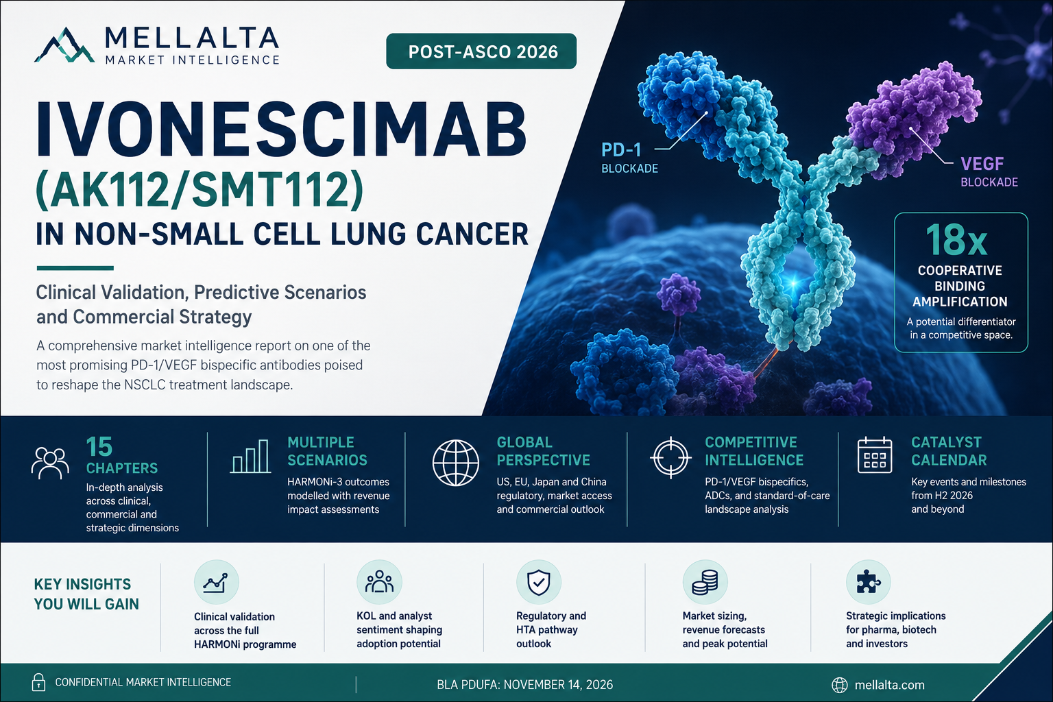 Ivonescimab in NSCLC: Clinical Validation, Market Scenarios & Commercial Strategy